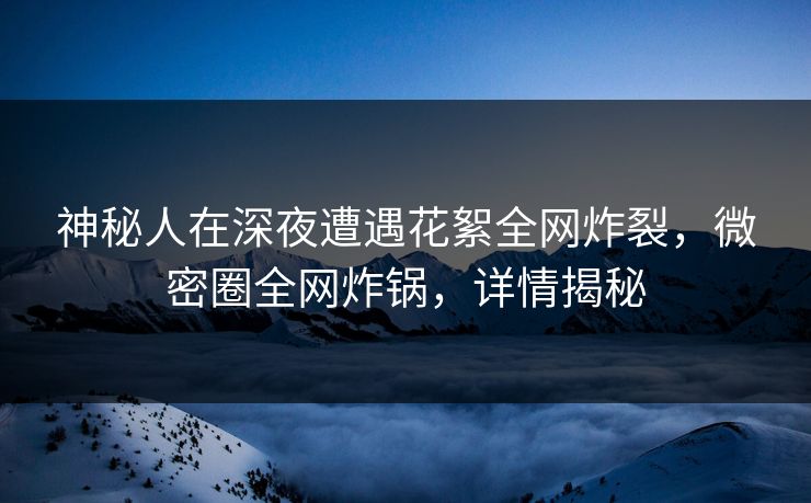 神秘人在深夜遭遇花絮全网炸裂，微密圈全网炸锅，详情揭秘